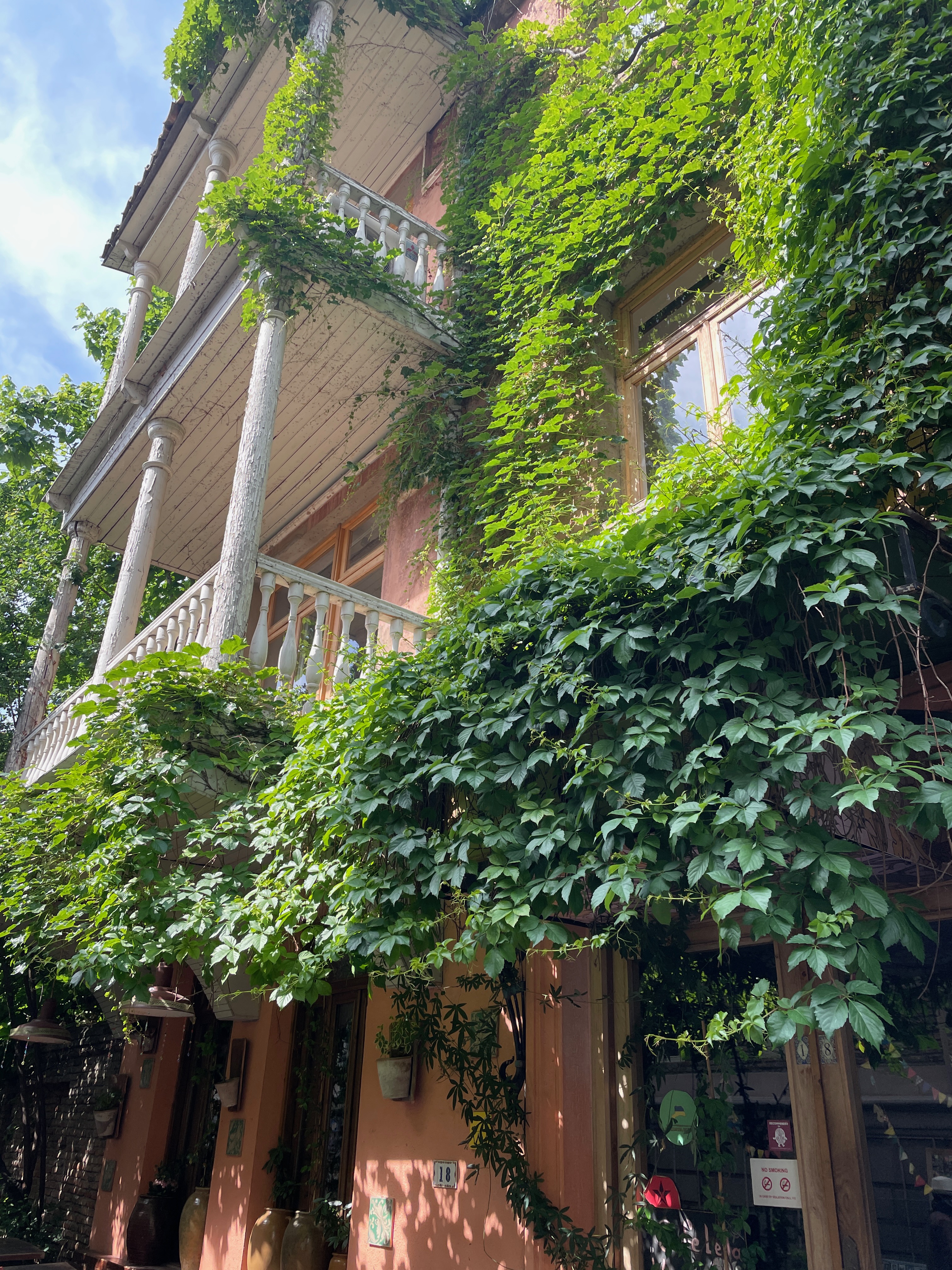 Ivy-covered wall in Tbilisi