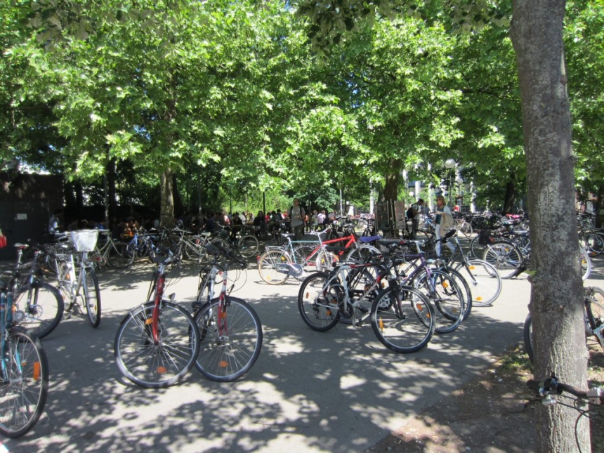 Bicycles dominate the leafy landscape on campus at the Karlsruhe Institute of Technology in Germany.