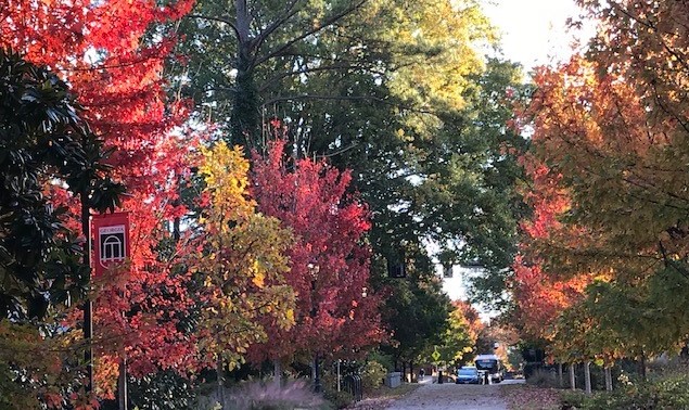 The campus of the University of Georgia in the vibrant college town of Athens, Georgia.