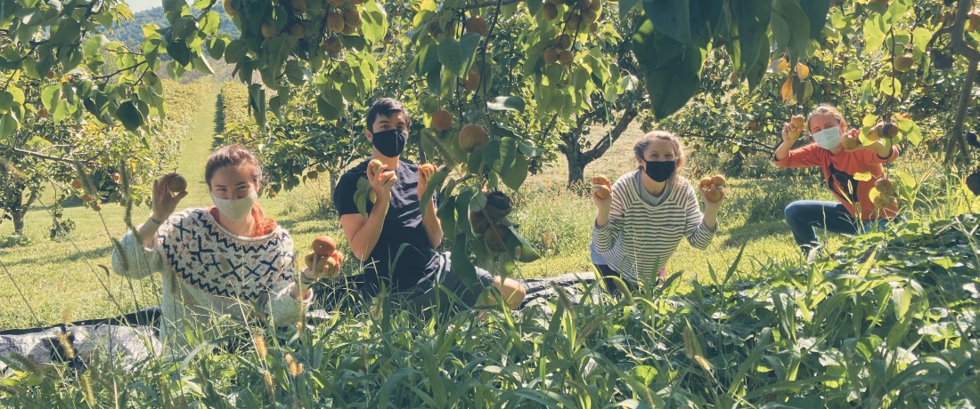 Volunteers harvest donated produce for the Athens non-profit Concrete Jungle, which addressed food insecurity.