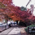 Joe Brown Hall at the University of Georgia pictured with fall foiliage.