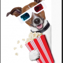 image of dog with popcorn promoting movie night on October 16th